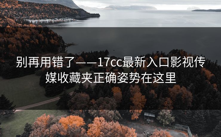 别再用错了——17cc最新入口影视传媒收藏夹正确姿势在这里  第1张
