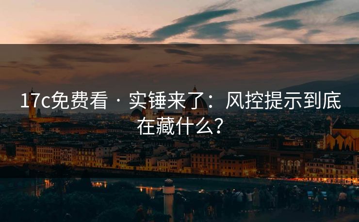 17c免费看 · 实锤来了：风控提示到底在藏什么？