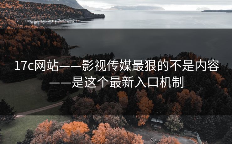 17c网站——影视传媒最狠的不是内容——是这个最新入口机制