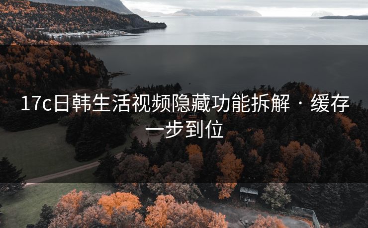 17c日韩生活视频隐藏功能拆解 · 缓存一步到位